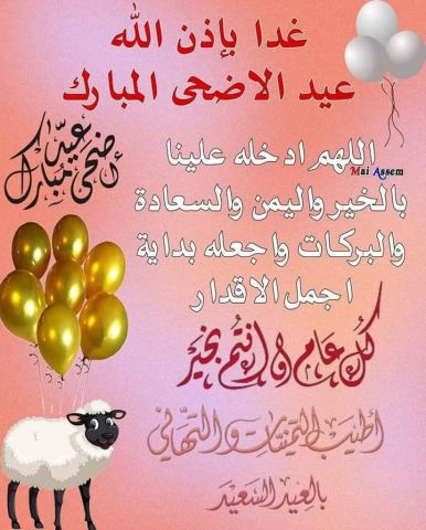 ابحث عن انسانه جميله 