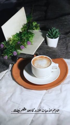 مطلوب زوجه على سنة الله ورسوله تكون من القاهره او الجيزه فقط 