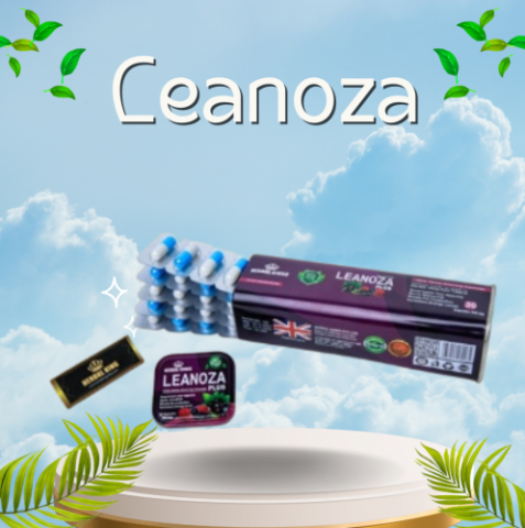 كبسولات LEANOZA PLUS لينوزا بلس