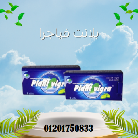 أقراص بلانت فياجرا لتقوية الانتصاب وتأخير القذف Plant vigra
