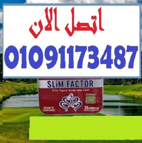 خسارة الوزن بأسلوب ذكي وآمن مع Slim Factor