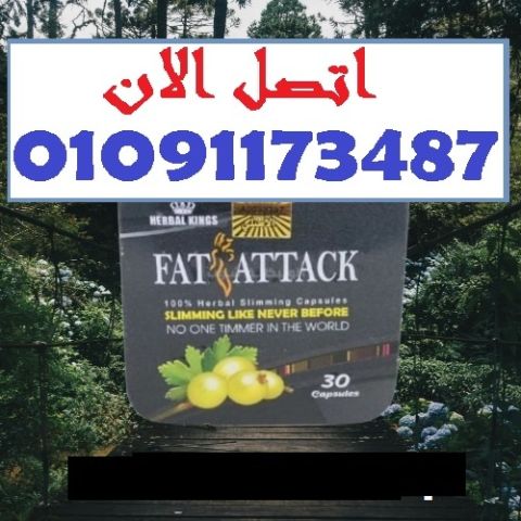 تائج ملحوظة من أول أسبوع... مع Fat Attack 