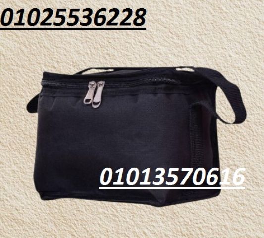 حافظة الأنسولين المتطورة 
