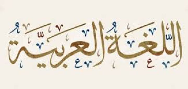 مدرس خصوصي عربي في المنصوره 01142851386