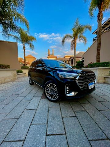 تأجير ليموزين جيتور: وصول النجوم. (Gator Limousine Leasing: The a
