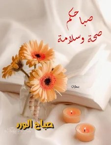 رجل  من اكتوبر يبحث عن ارملة او منفصلة  1