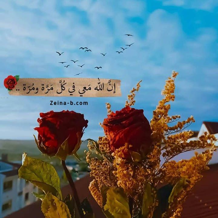 رجل  من اكتوبر يبحث عن ارملة او منفصلة  2
