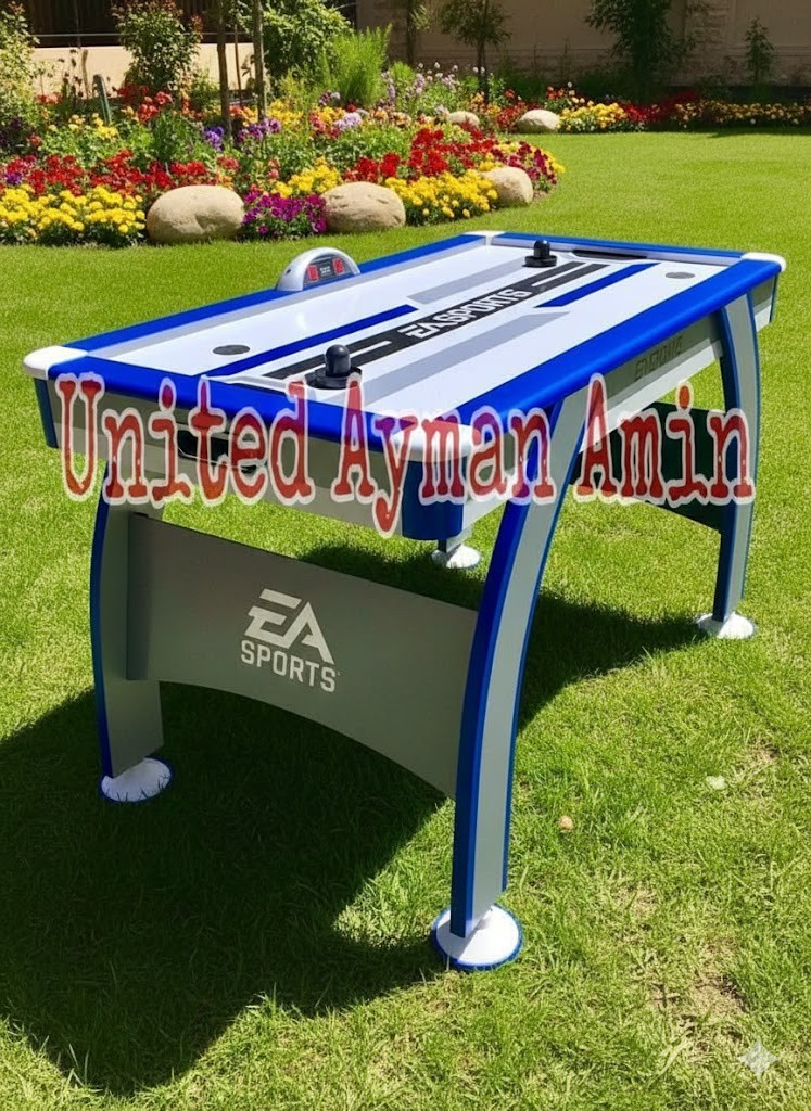 اير هوكى للكبار والصغار 2