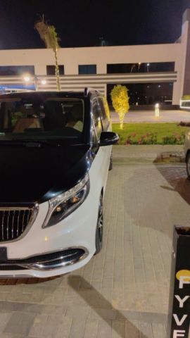 Mercedes Van Rental for Tour in Cairo01102106655