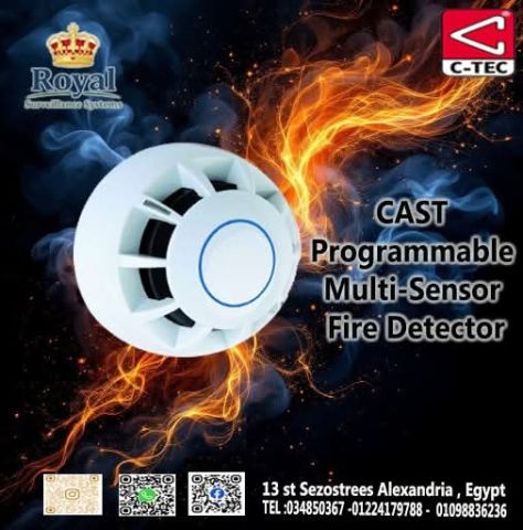 الحساس المتعدد الذكي CAST من ROYAL
