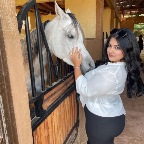 مساج برايفت Fixing of verve 