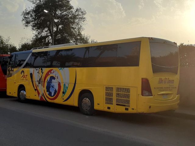 ايجار باص الى اسماعيليه 6