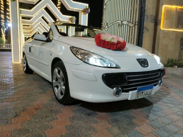 الدولي لخدمات الليموزين