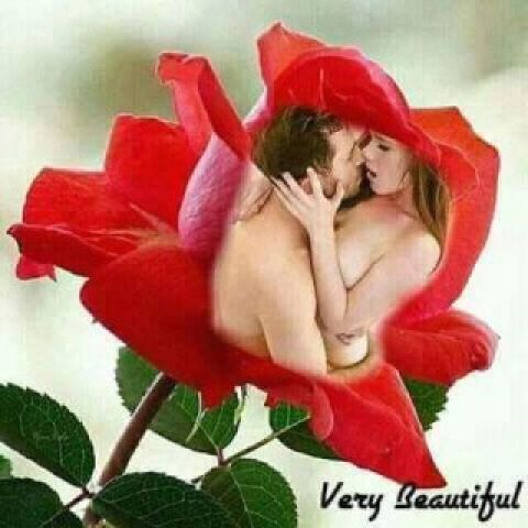 بدور علي بنت تجي تعيش معيا ونتجوز عرفي لو حابه 2