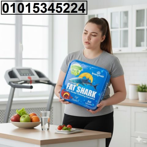 *Fat Shark ?** لو عايز تخس وتشد جسمك من غير حرمان… الحل قدّامك!