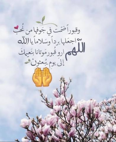 رجل من القاهرة يبحث عن زواج جاد