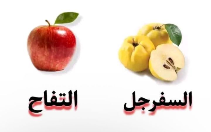 ابحث عن علاقة تعارف 