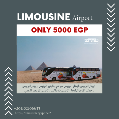 ايجار اتوبيس مرسيدس 50 راكب VIP للسياحة والرحلات | ليموزين مصر