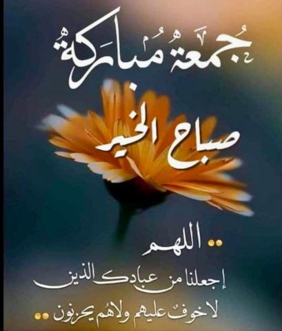 ل إدراج إعلانك وضياع عضويتك! نصيحة، لا تكرر نفس الإعلان، أدرج الإ