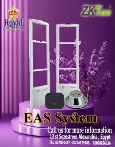 احمي محلك في الإسكندرية.. ونام مرتاح البال! ?