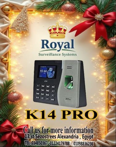 حلول ذكية لإدارة الموارد البشرية في الإسكندرية ?