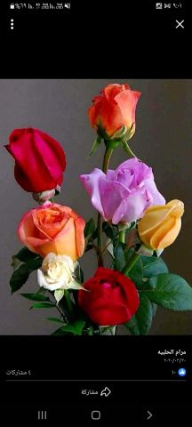 طلب مدربة مساج 2