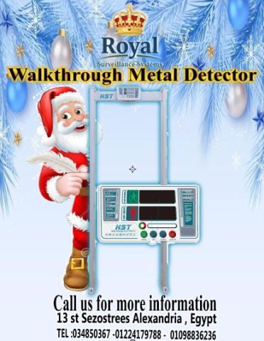 الأمان الأساسي: بوابة الكشف عن المعادن (1 منطقة) – حماية موثوقة 