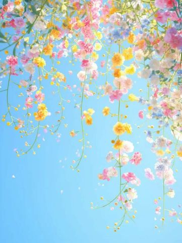 معتز شاهين من القاهرة تعارف ارتباط من منفصلة أو ارملة