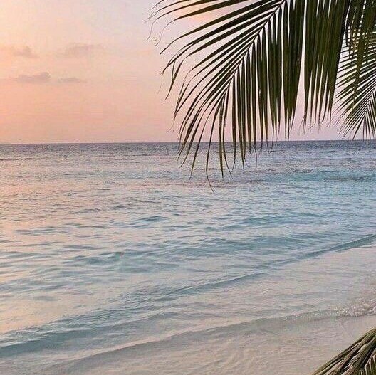 مطلوب بنت موديلز حسنه المظهر 