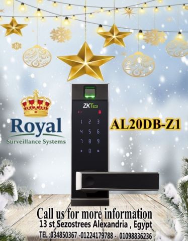 لو زهقت من المفاتيح وبابك محتاج تكنولوجيا، ZKTeco AL20DB هو الحل