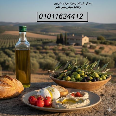 زيت زيتون بكر ممتاز 01011634412 إنتاج مطروح