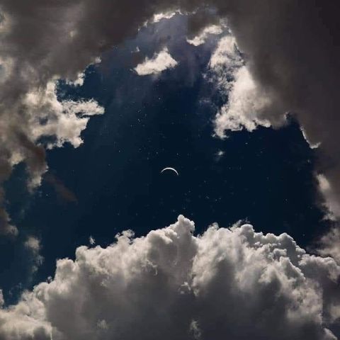 مطلوب زوجه على سنه الله ورسوله