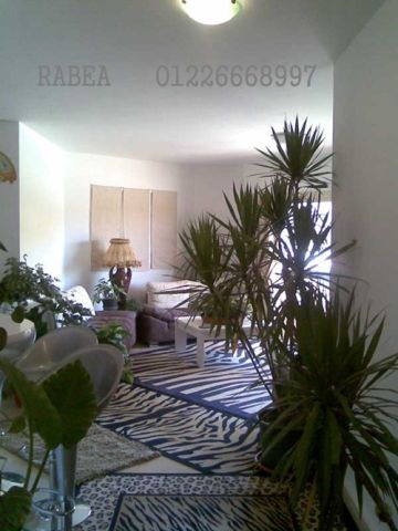 فنادق الاسماعيلية للايجار شاليهات شقق فندقية مفروشة للايجار حديثة