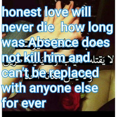 ميدو، 28 سنة من القاهرة يبحث عن صداقات جادة