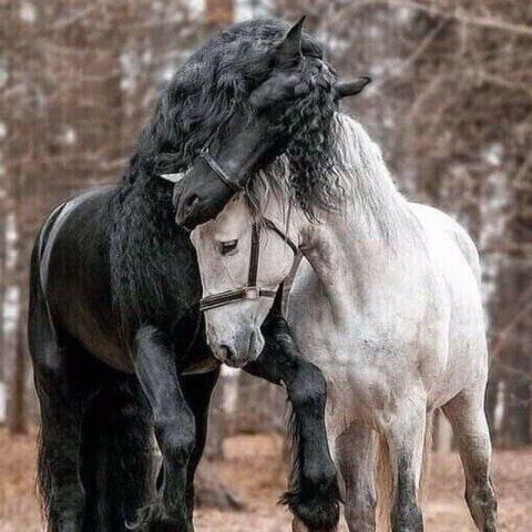 ميدو 28 سنه من القاهرة علاقه حب و صداقه 2