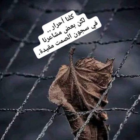 ميدو 28 سنه من القاهرة علاقه حب و صداقه 3