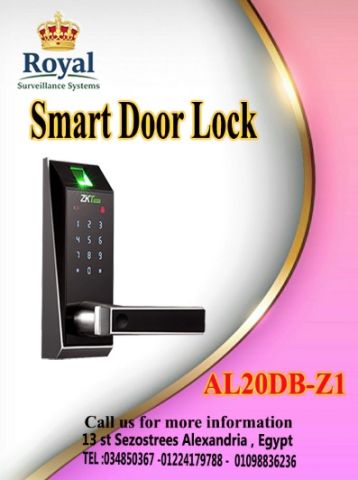 لو زهقت من المفاتيح وبابك محتاج تكنولوجيا، ZKTeco AL20DB هو الحل:
