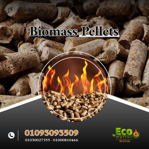 الوود بيليت