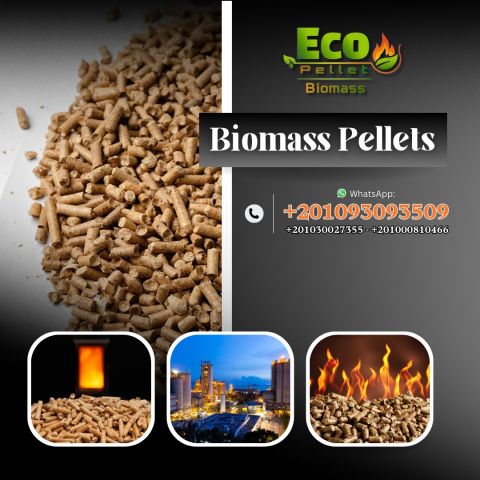 الوود بيليت