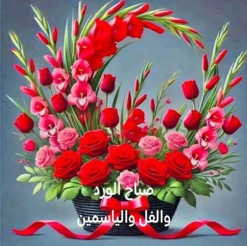 جلسة مساج مخصصة للسيدات فقط، استمتع بالراحة والاسترخاء