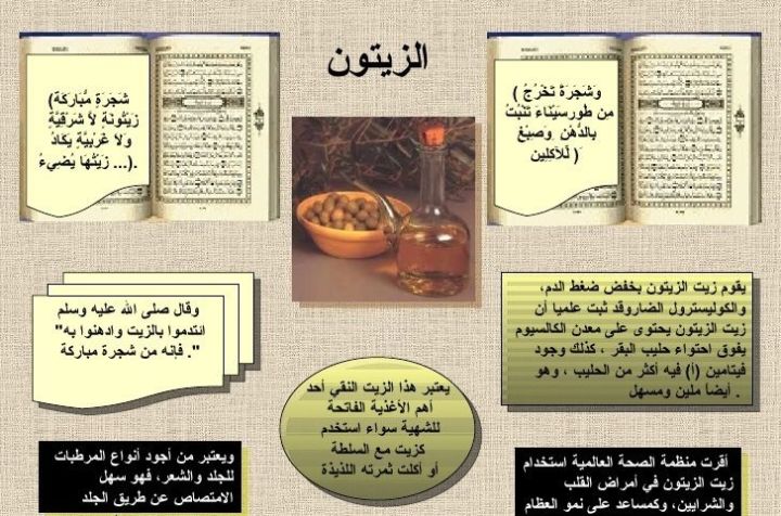 01011634412 زيت زيتون أصلي فاخر للتخزين والاستخدام اليومي من مطرو