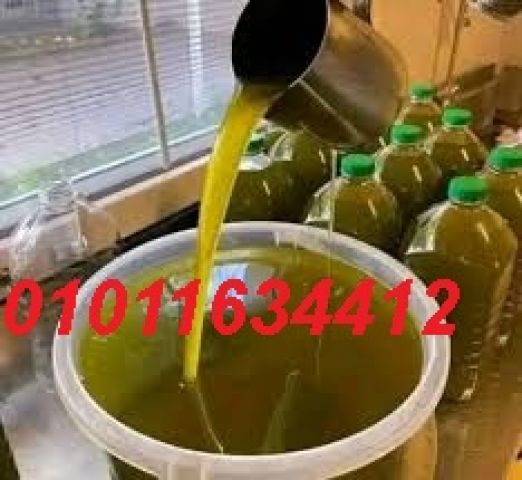زيت زيتون فاخر للتجار والمطاعم بأفضل الأسعار