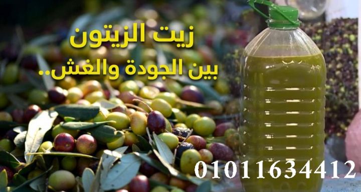 زيت زيتون بلدي من أفضل المزارع 01011634412