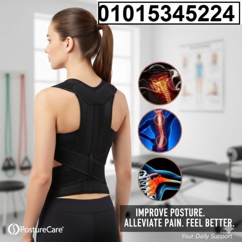 حزام الظهر والعمود الفقري الطبي **رويال بوستر