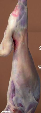 مسوقين للعمل بالنسبة 