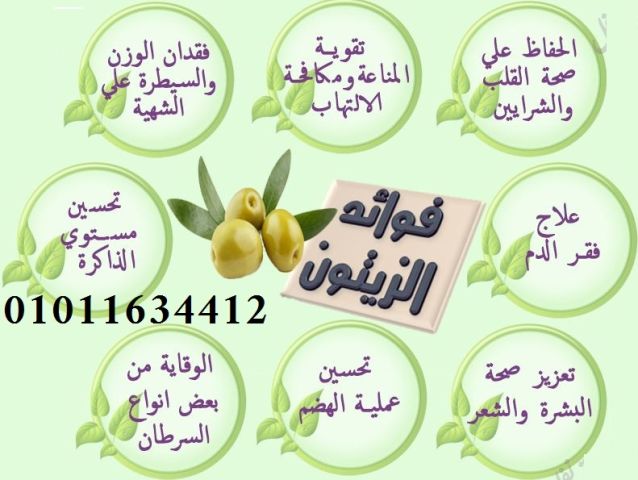 زيت زيتون صغير الحجم كبير الفوائد01011634412