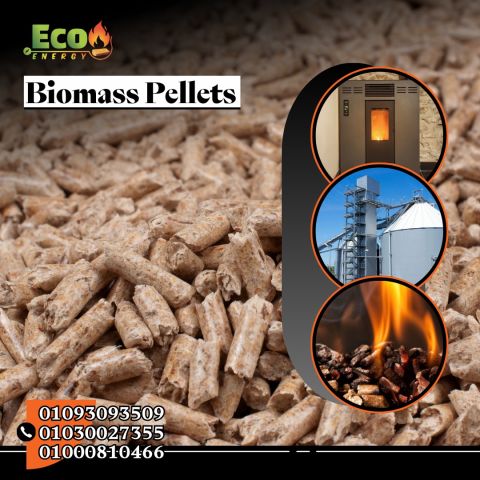 الوود بيليت