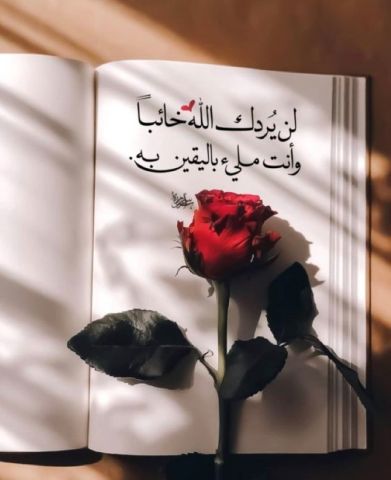 ابحث عن امرأة للزواج العرفي أو التعارف في القاهرة