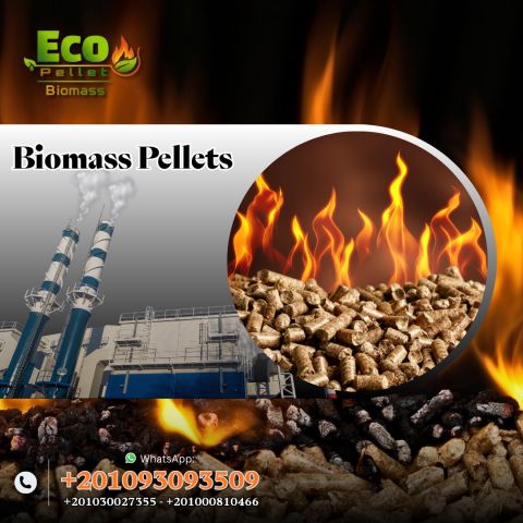 الوود بيليت