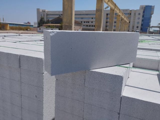 الطوب الابيض الخفافي 2